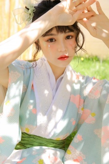 美丽的黑蝴蝶